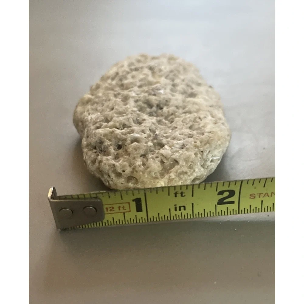 Fossilized Coral Natural Surf Tumbled 5.5